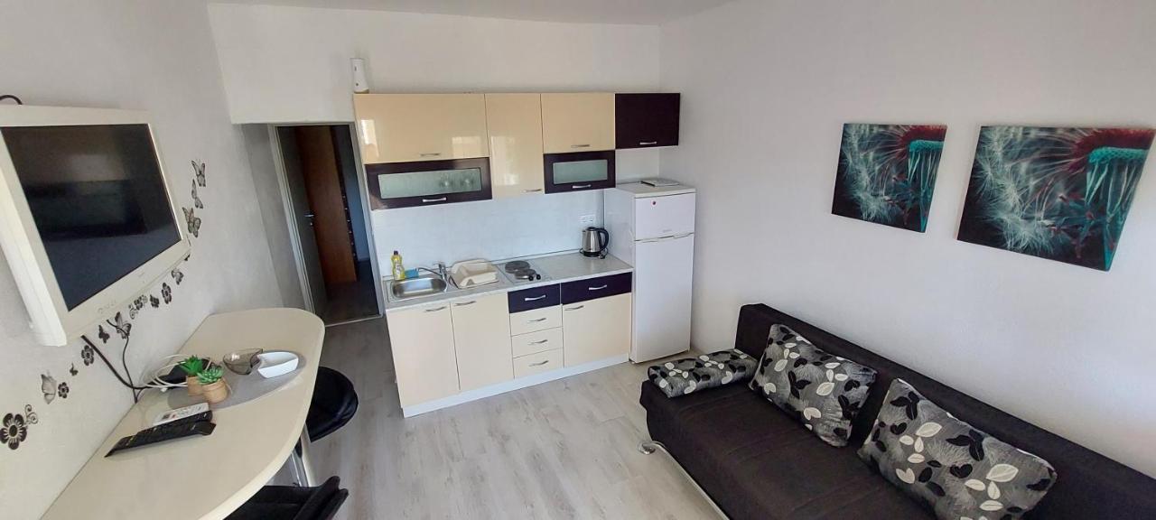 Apartment Zana Pirovac