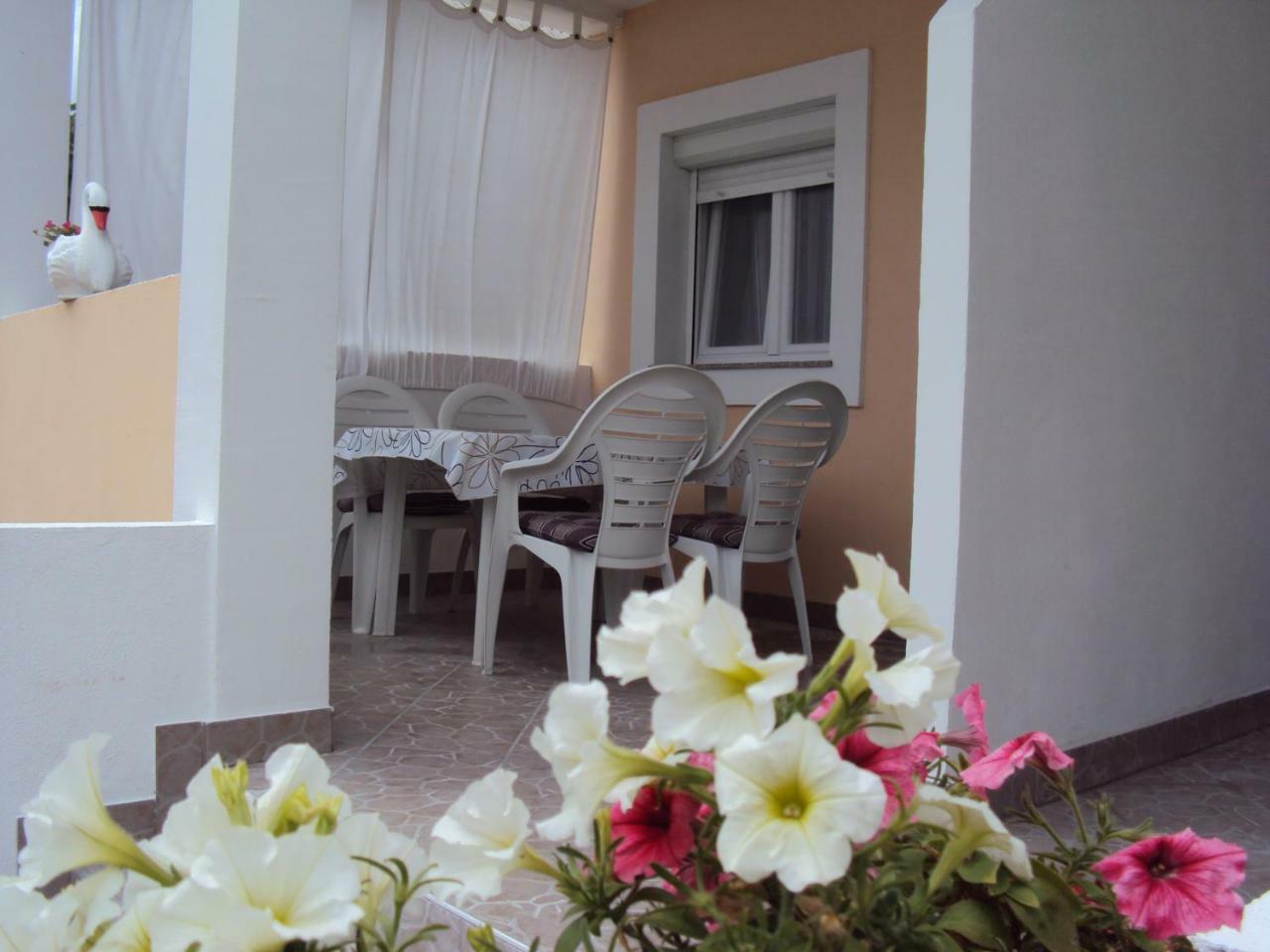 Apartment Zana *